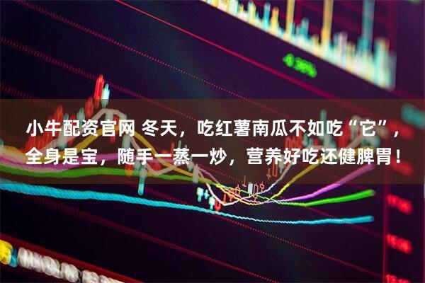 小牛配资官网 冬天，吃红薯南瓜不如吃“它”，全身是宝，随手一蒸一炒，营养好吃还健脾胃！