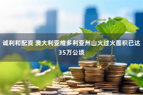 诚利和配资 澳大利亚维多利亚州山火过火面积已达35万公顷