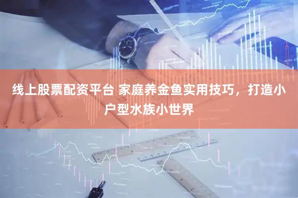 线上股票配资平台 家庭养金鱼实用技巧，打造小户型水族小世界